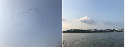 20190314170149454945.jpg