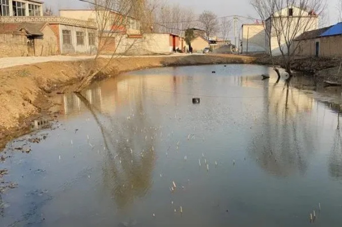 1771981808619040.png ScreenShot_2026-02-25_085653_212.png